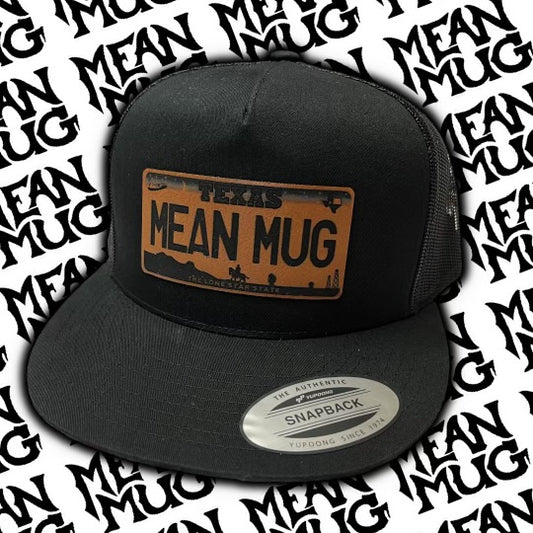 License Plate Cap
